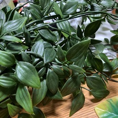 かわいいフェイクグリーン2種🍀の画像