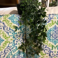 かわいいフェイクグリーン2種🍀の画像