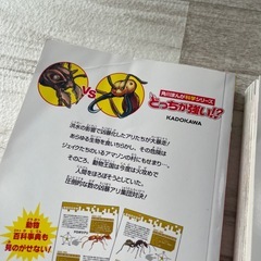 どっちが強い！？シリーズ5冊☆の画像