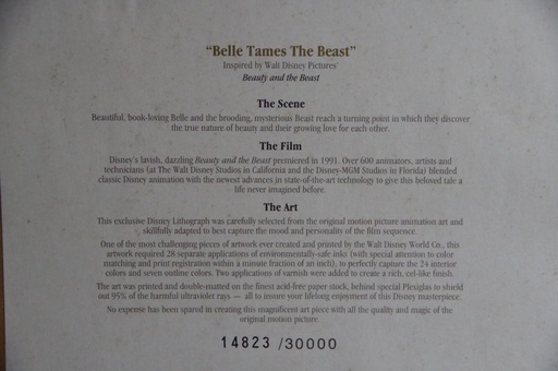 【激レア！秘話あり】美女と野獣 原画 リミテッドエディション　あの橋本龍太郎元首相と争奪戦！？