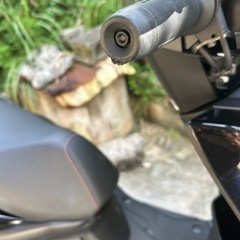 シグナスグリファスの画像