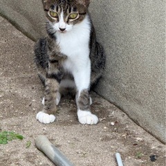 ぜひお迎えにきてください🙇‍♂️新潟県新発田☆