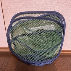 ダイヤ ベタピンアプローチ （アプローチ 室内練習用） の画像