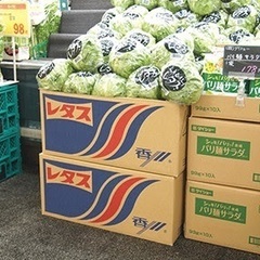 香川県産　野菜空ダンボール　香川名産品の空ダンボール譲って…