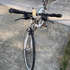 ルイガノの画像