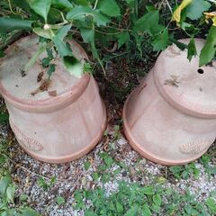 【商談中】植木鉢　数点の画像