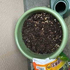 植木鉢、土、ジョウロ、支柱セットの画像