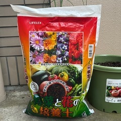 植木鉢、土、ジョウロ、支柱セットの画像