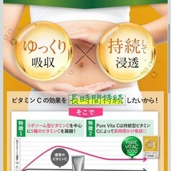 【新品】高濃度ビタミンC サプリメント 1000mg 30日分 リポソーム型  免疫 美容 健康維持 高吸収 持続型 国内製造 の画像
