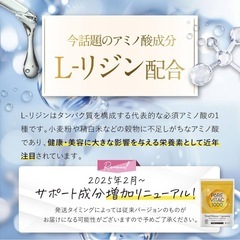 【新品】高濃度ビタミンC サプリメント 1000mg 30日分 リポソーム型  免疫 美容 健康維持 高吸収 持続型 国内製造 の画像