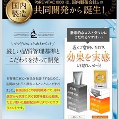 【新品】高濃度ビタミンC サプリメント 1000mg 30日分 リポソーム型  免疫 美容 健康維持 高吸収 持続型 国内製造 の画像