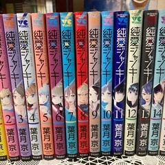 純愛ジャンキー　全15巻セットの画像