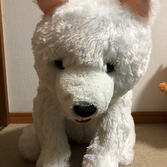 可愛い ぬいぐるみの画像
