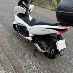 ‼️極上車　PCX 125 JF81 ①の画像