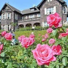 40・50代 ガーデン♪ ～1人参加～【駒込】💖