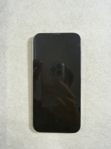 CランクiPhone 13 Pro Max 256GB