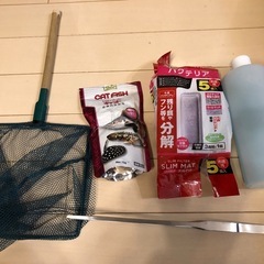 ウーパールーパー　飼育セット　20000円以上→5000円の画像