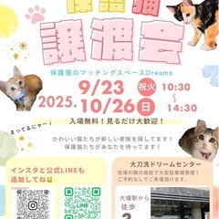 猫ちゃん大集合‼︎保護猫の譲渡会*in大刀洗ドリームセンター