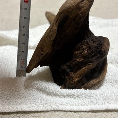 天然流木(煮沸・アク抜き・沈水確認済み)の画像