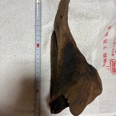 天然流木(煮沸・アク抜き・沈水確認済み)の画像