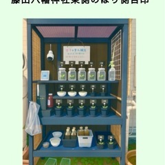 めだか無人販売　9月20,21,23日