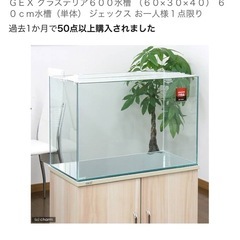 GEXグラステリア 60センチ水槽の画像