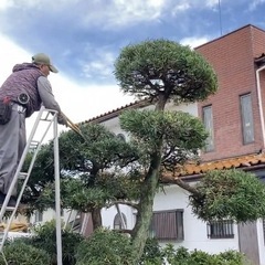 ⚠️急募です。未経験者／経験者問わず　植木屋の手伝いをしてみませんか?緑地管理がメインです。の画像