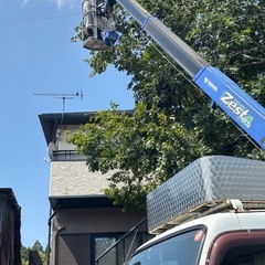 ⚠️急募です。未経験者／経験者問わず　植木屋の手伝いをしてみませんか?緑地管理がメインです。の画像