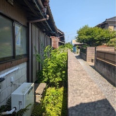 草刈り/剪定