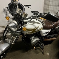 エイプの画像