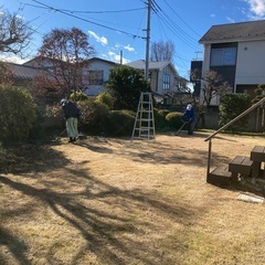 経験者日給12000円〜17000円（能力と経験に応じて）剪定、伐採など行っております。の画像