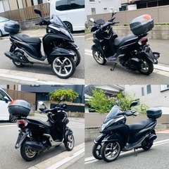 ヤマハトリシティ125 人気のBLACKトリちゃん♪便利なボックス付き♪の画像