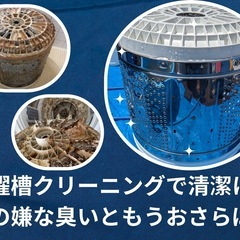 洗濯機 分解洗浄 容量6kg以下9000円〜 クリーニング