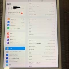 iPad mini4の画像