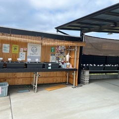 メダカ販売の画像