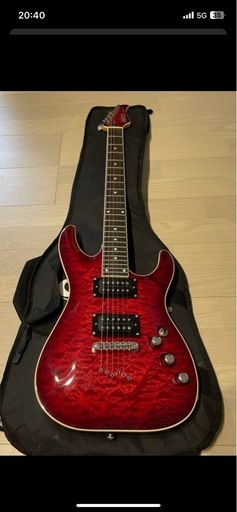 ギターソフトカバー付き