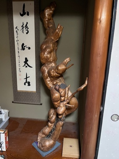 値下げ　木の根　コレクション　レア