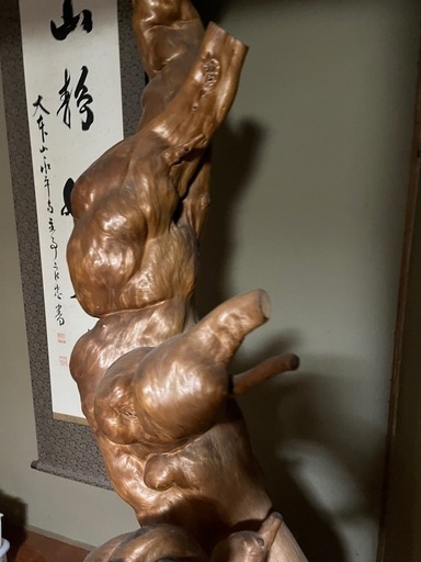 値下げ　木の根　コレクション　レア