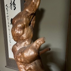 木の根　コレクション　レアの画像