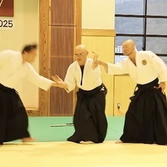合気武道の画像