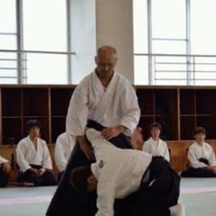 合気武道の画像