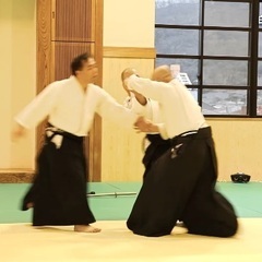 合気武道の画像