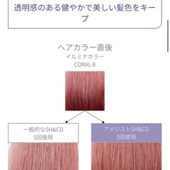 ウエラ　カラーモーション＋　カラーシャンプーの画像