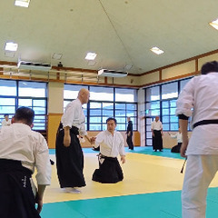 合気武道の画像