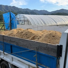 籾殻の画像