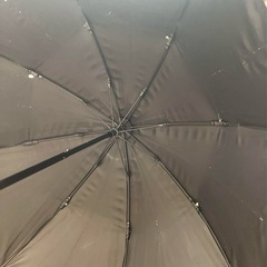サンバリア100 日傘　2段折りたたみ 袋タグ付きの画像