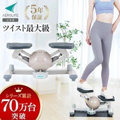 【美品】AEROLIFE コアビクサーツイストステッパー　の画像