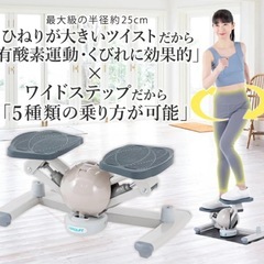 【美品】AEROLIFE コアビクサーツイストステッパー　の画像