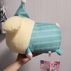 ナガノ×サンリオキャラクターズの画像