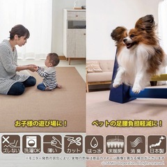  【タイルカーペット】サンコー 30×30cm ライトベージュ 20枚 の画像
